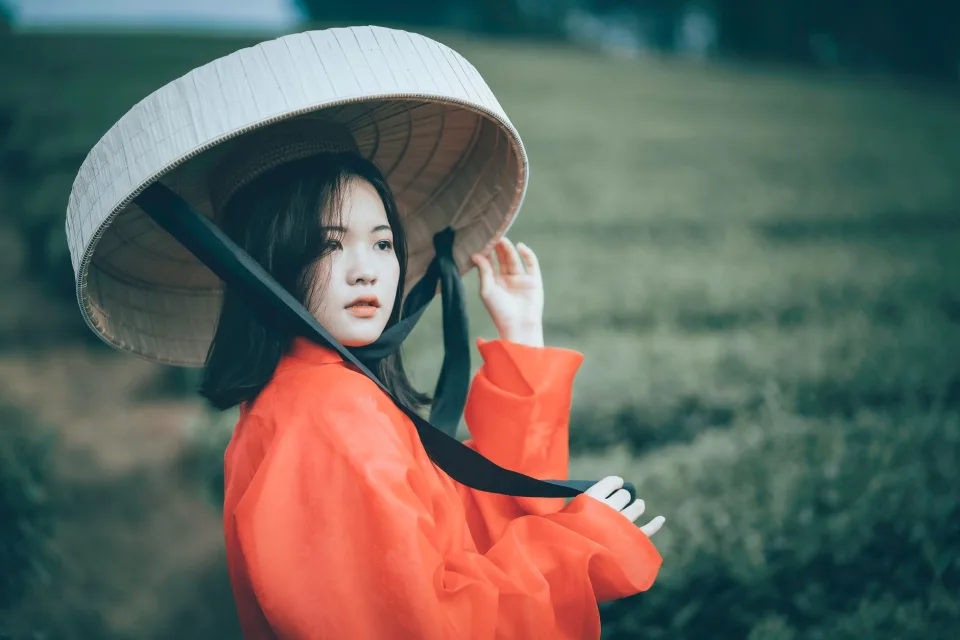Dự án gần đây